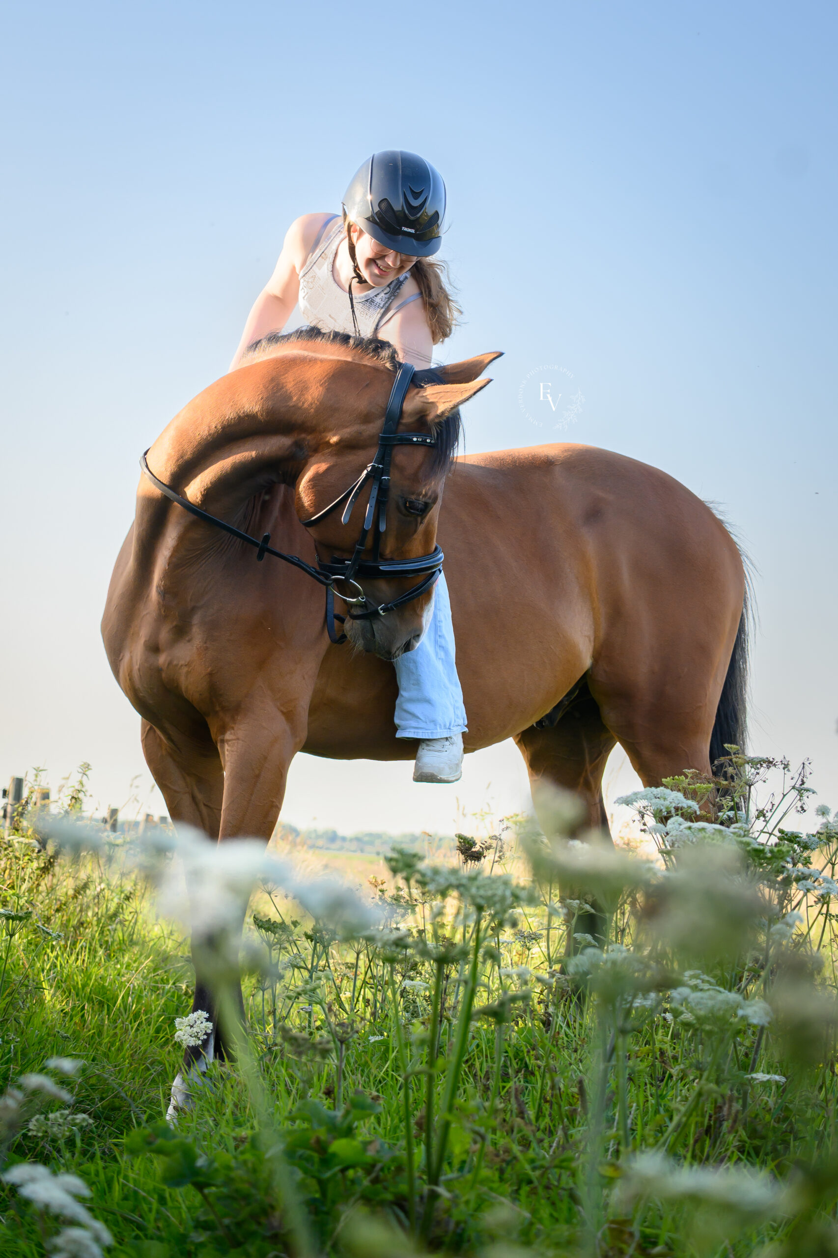 paardenfotograaf Waddixveen