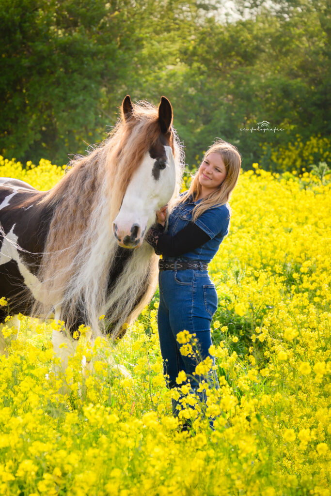 esv.footgrafie een paarden fotoshoot met een tinker en de eigenaresse in een geel koolzaadveld