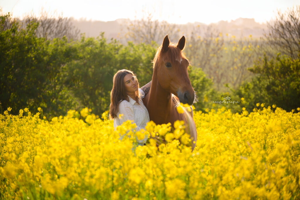 esv.fotografie spontane paardenfotoshoot in Koolzaadveld in omgeving Den haag