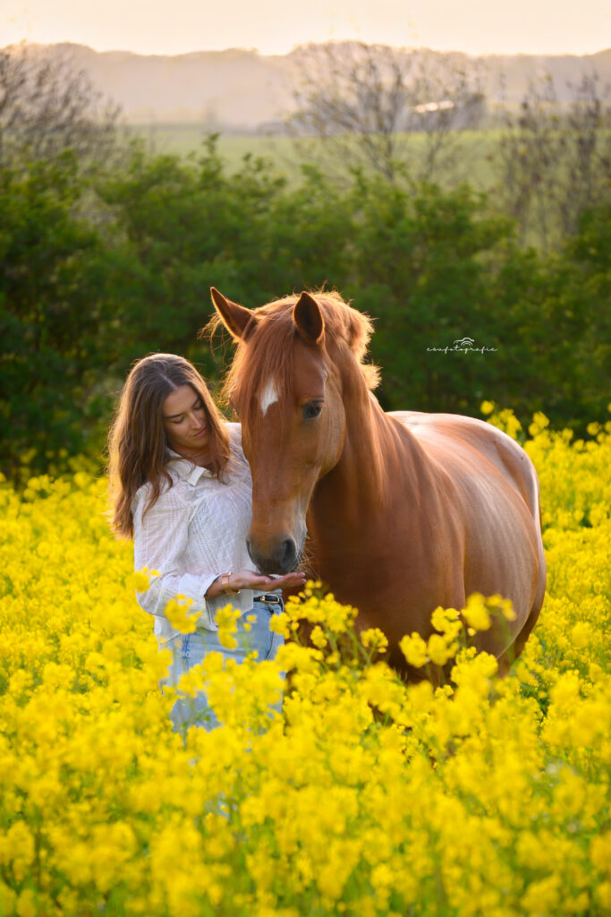 esv.fotografie spontane en natuurlijke paarden fotoshoot in een koolzaad in de omgeving van Maassluis