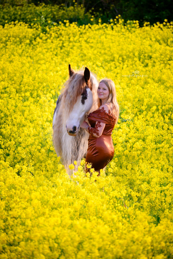 esv.dierenfotografie paardenfotoshoot met tinker in een geel koolzaadveld in de omgeving van Maassluis