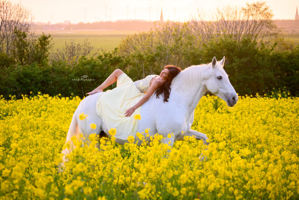 esv.fotografie paardenfotoshoot in koolzaadveld