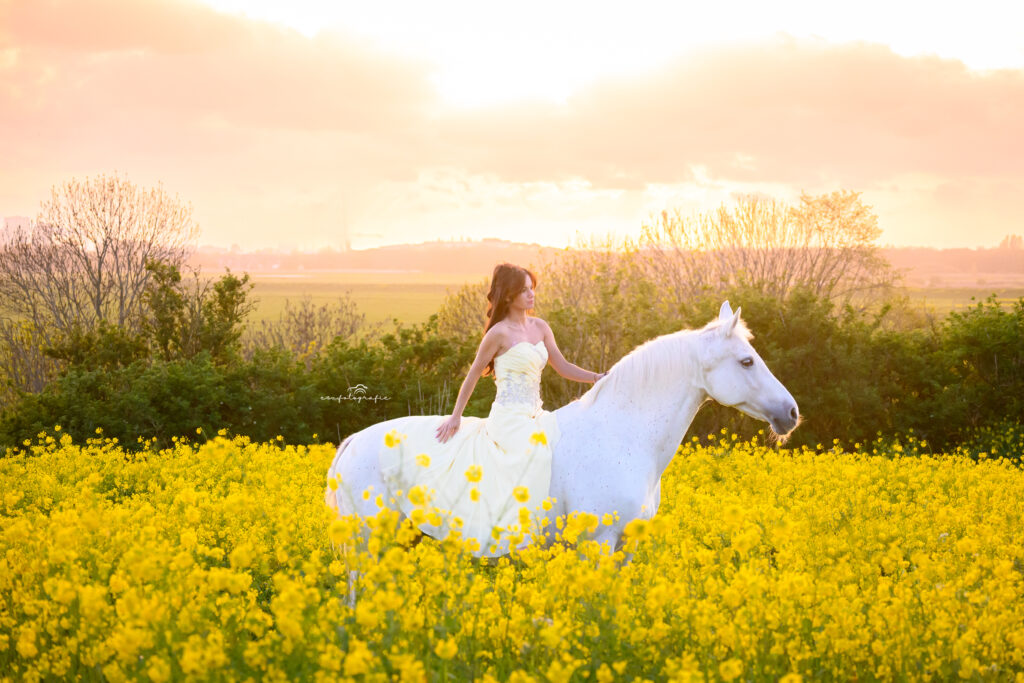esv.fotografie een paarden fotoshoot met een wit paard in een geel koolzaadveld in de omgeving van Rotterdam met een zonsondergang