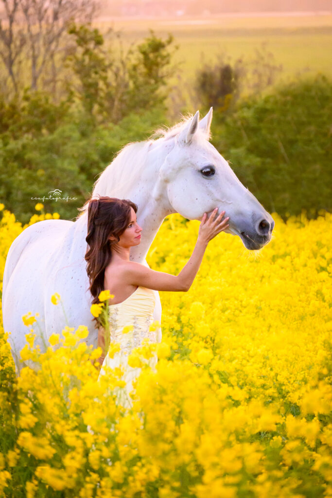 esv.fotografie paardenfotoshoot Koolzaadveld in Den Haag