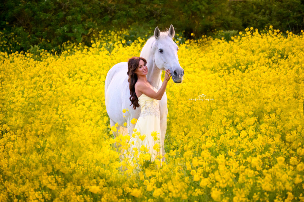 esv.fotografie paarden fotoshoot koolzaadveld